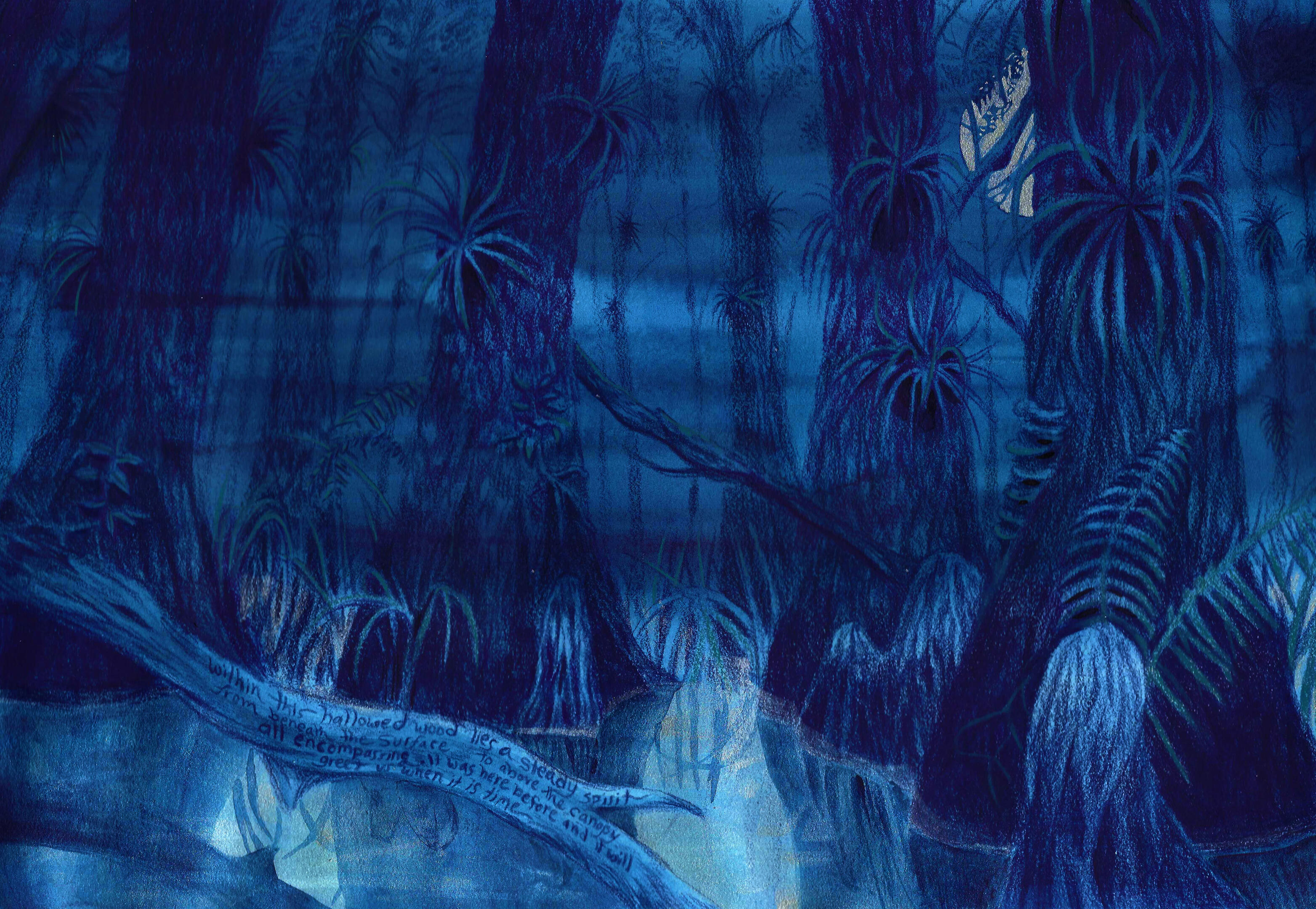 Cypress Cathedral Ink and Colored Pencil on Paper 2025