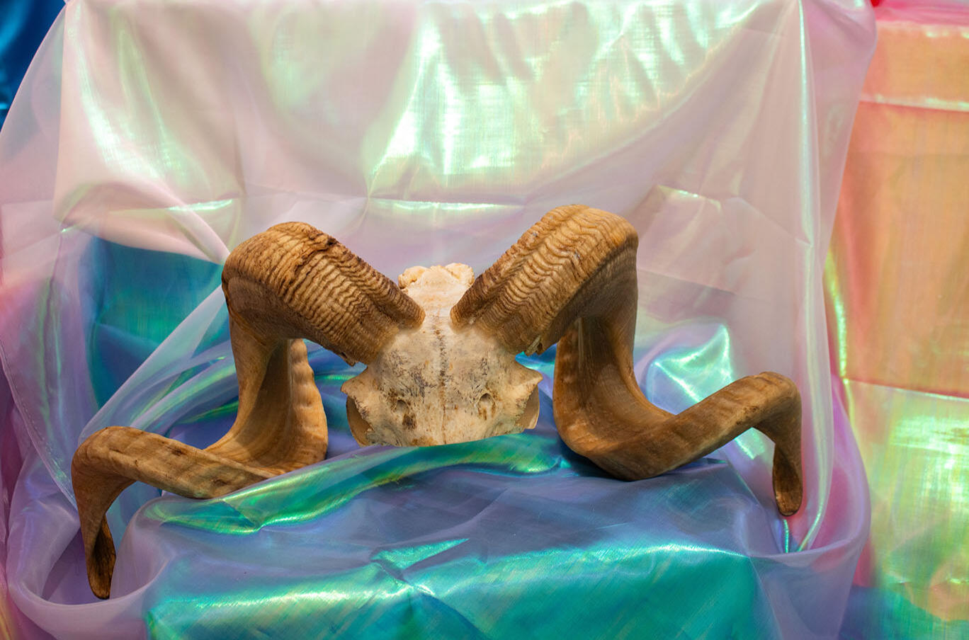Untitled Untitled